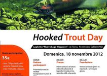 Locandina Hooked - Trout Day