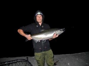 Salmone Chinook