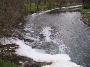 Gli effetti dell'inquinamento sul fiume Lambro