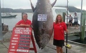 In nuova zelanda catturato un tonno da 411 chili