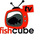 fish-cube-tv