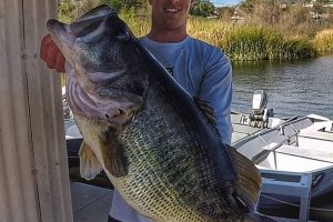 springer-16-pound-bass-dock